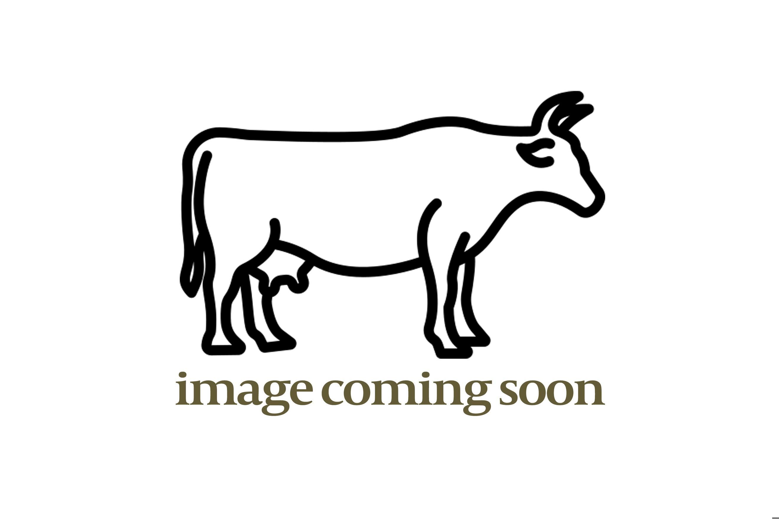 Rolled Brisket (minimum 1kg)